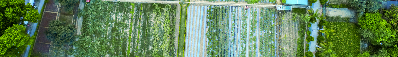 Horticulture Aerial view 