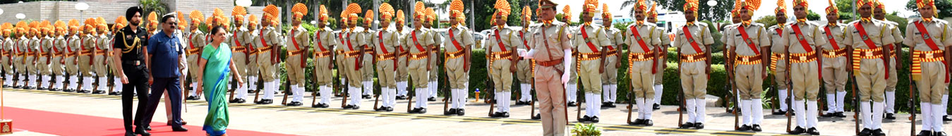 The Guard of Honor