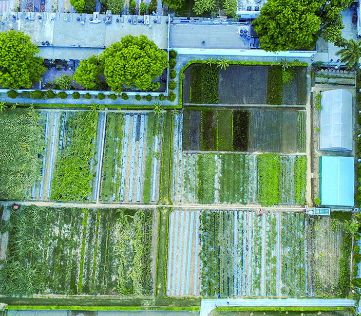  Horticulture Area Aerial View