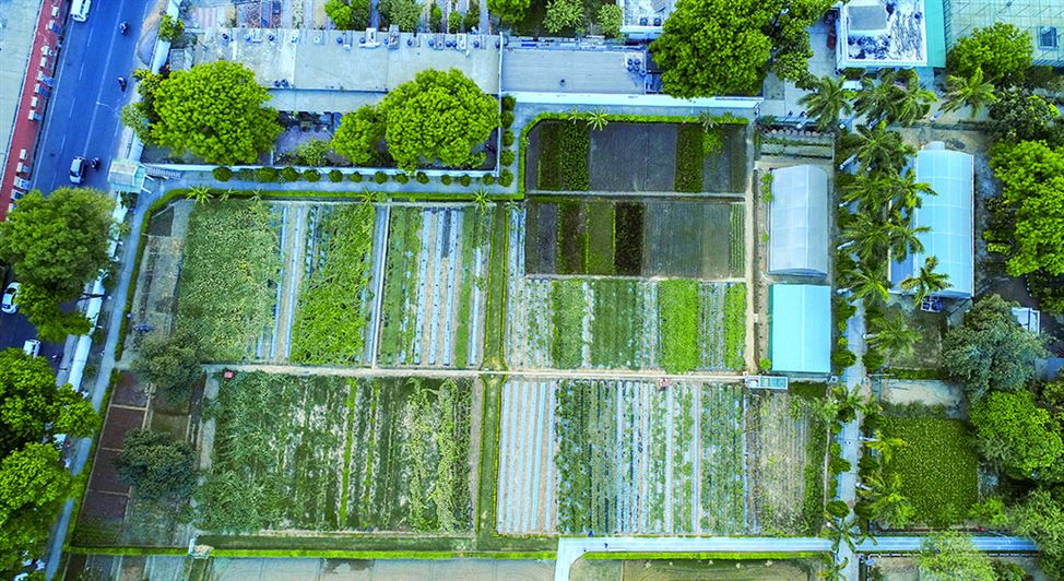  Horticulture Area Aerial View/ राजभवन उद्यान का विहंगम दृश्य