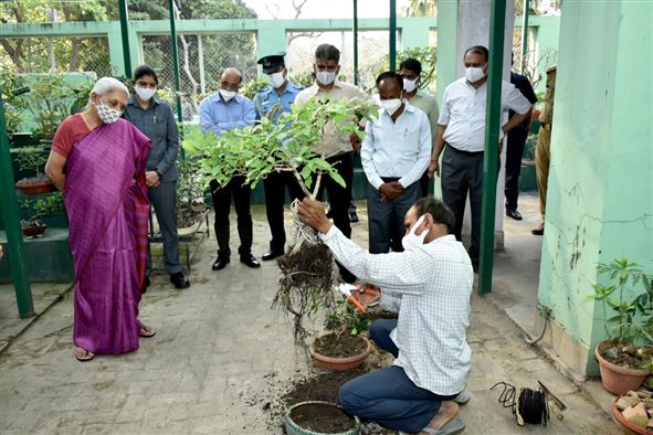 The Governor visited National Botanical Research Institute, Lucknow./राज्यपाल ने राष्ट्रीय वानस्पतिक अनुसंधान संस्थान, लखनऊ का भ्रमण किया
